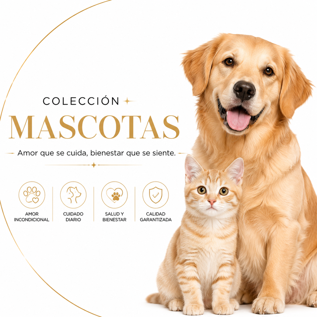 Mascotas