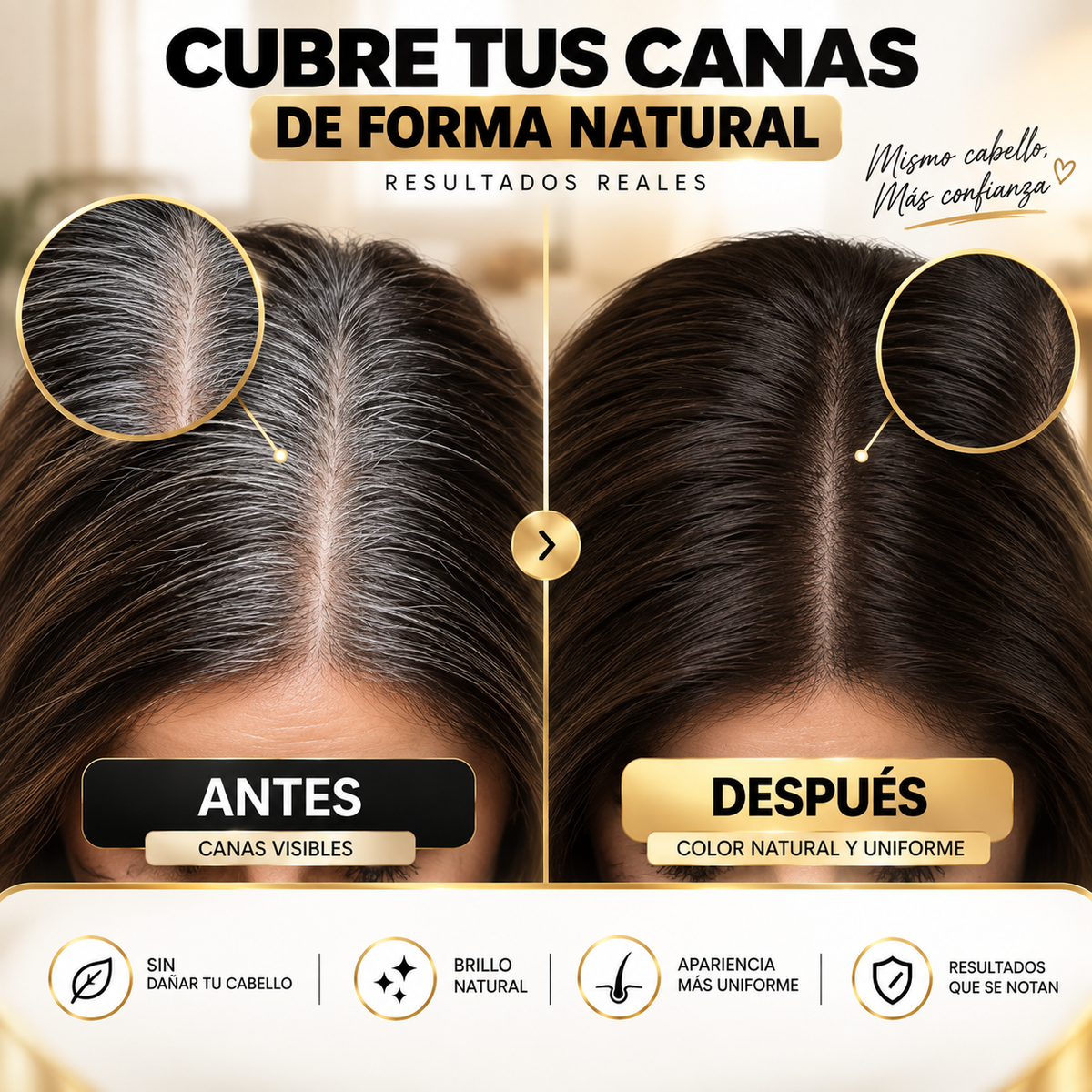 🖤 GrayCover™ | Shampoo Cubre Canas Pro-ORIGINAL/ 30 Aplicaciones